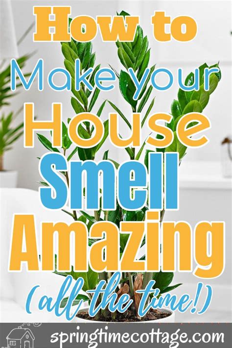 How To Make Your Home Smell Amazing All The Time House Smell Good