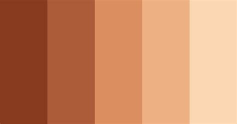 Brown Skins Color Scheme Brown