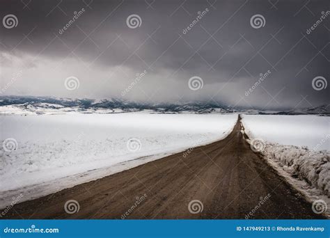 Country Dirt Road In A Snowy Field Stock Image Image Of Dark Earth