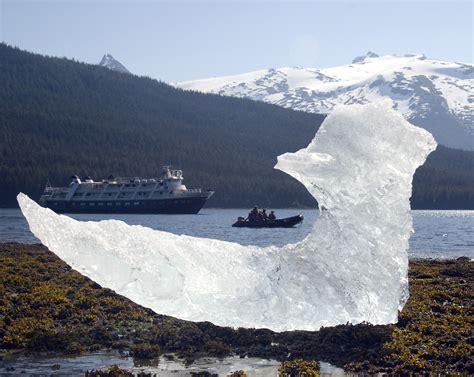 A Tide Placed Iceberg Frames The Sea Bird And A Zodiac In A