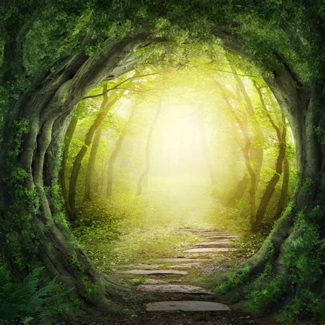 Buy Forest Tunnel Wall Mural Free Shipping At Uk