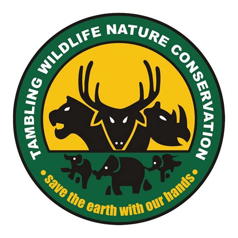 Tambling Wildlife Nature Conservation Youtube