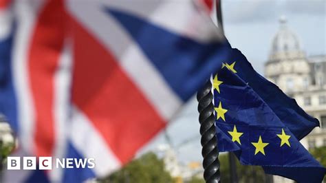 Brexit 10 Pointers To Explain A Fiendishly Complicated Process Bbc News