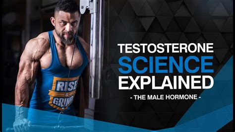 Testosterone How To Boost Testosterone Naturally Science Behind The Male Hormone Youtube