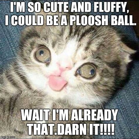 Image Tagged In Derp Cat Imgflip