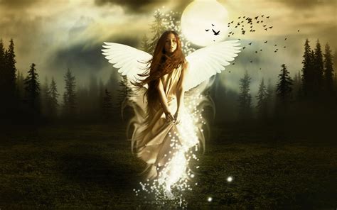 Free Wallpaper Of A Angel Girl In Forest Free Wallpaper World