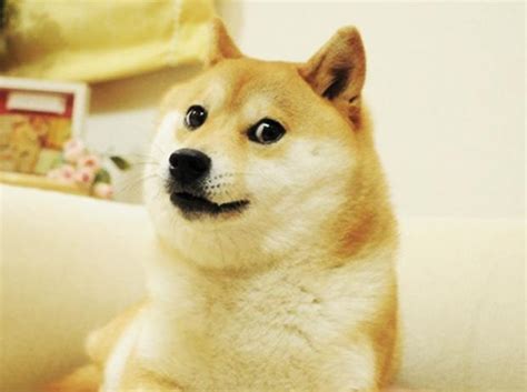 1920x1080 doge wallpaper hd for desktop background>. "Doge" Meme Templates - Imgflip