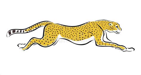 ✓ free for commercial use ✓ high quality images. Cheetah running stock vector. Illustration of carnivore ...