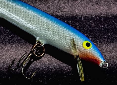 Classic Rapala Photograph by John Crothers - Fine Art America