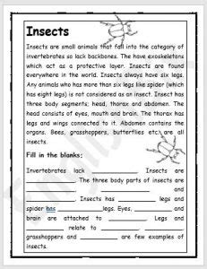 Insect Reading Comprehension Worksheet - EnglishBix