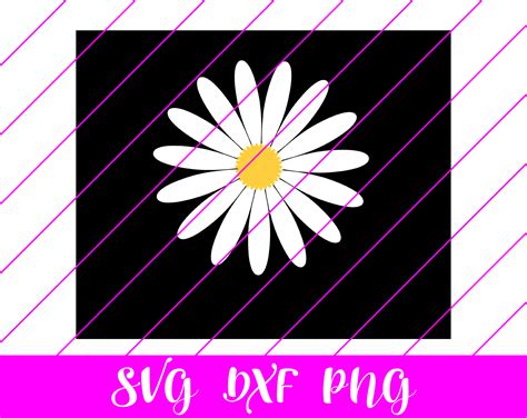 Daisy SVG - Free Daisy SVG Download - svg art