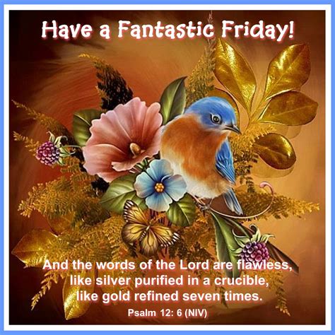 Have A Fantastic Friday Pictures Photos And Images For Facebook