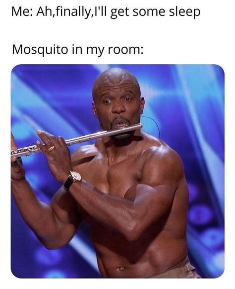 me get some sleep mosquito in my room funny