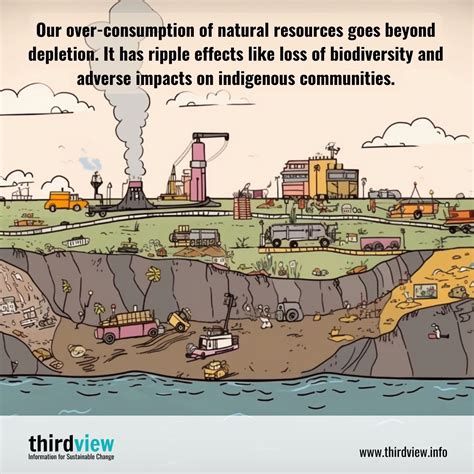 The Ripple Effect Of Over Consumption Of Natural Resources Thirdview