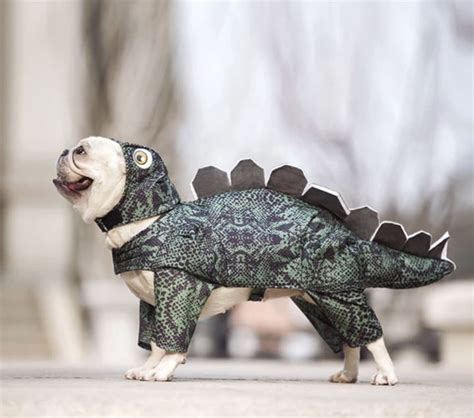 Dinosaur Pet Clothes Buena Deal Dog Costume Pet