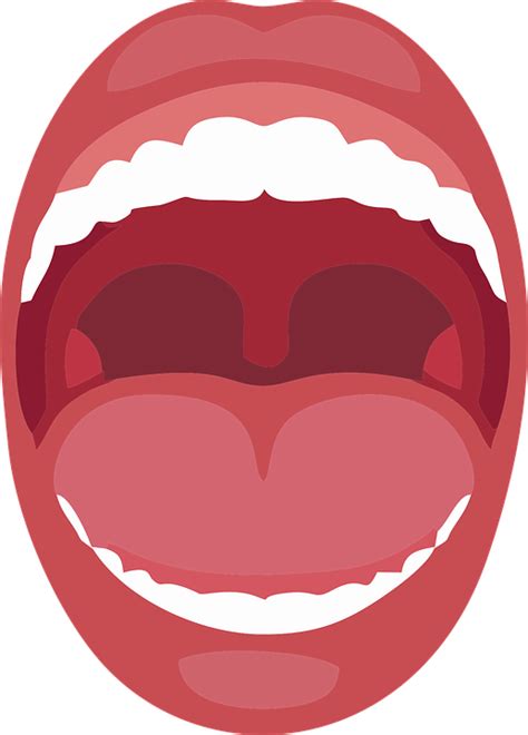 Mouth Icon Vector 339danikniepsmathmethodsblog