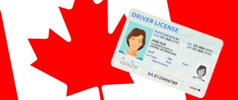 How To Obtain A Canadian Driving Licence Autoshippers Blog