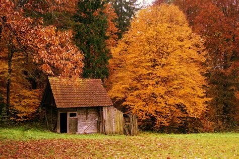Free Download Autumn 1 Buildings 1 Fall 1 Forest 1 Landscapes 1 Nature