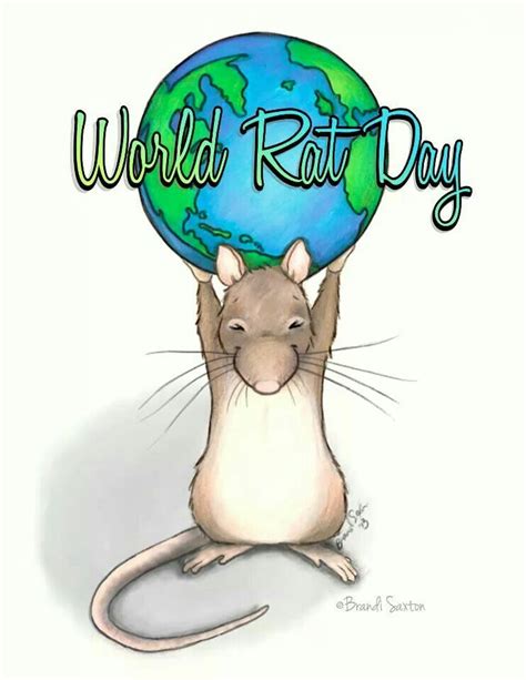 World Rat Day Cute Rats Pet Rats Rodents
