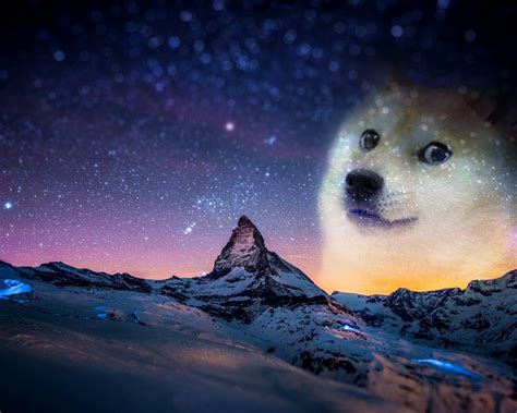 Free Download Only Doge Without Text Doge Wallpaper 1920x1200 18352