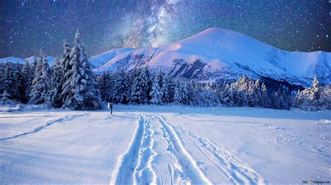 Night Starry Snow Landscape 2k Wallpaper Download