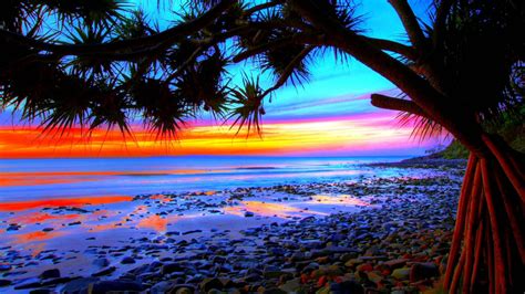 Tropical Landscape Colorful Beach Sunset Silhouette Background Hd