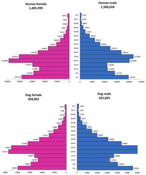 Composition By Sex And 5 Year Age Group Of The Average Population For