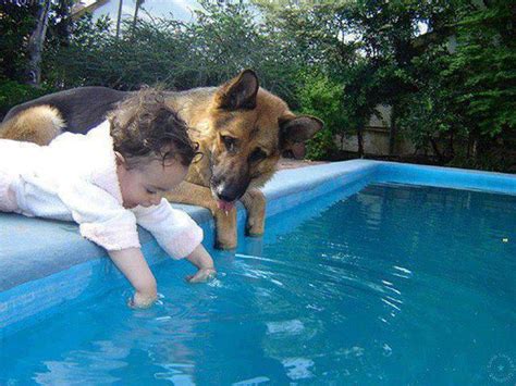 Funny Pictures Of Kids And Animals 30 Pics Amazing