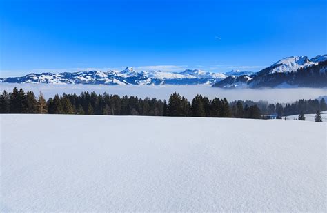 Free Photo Snowy Mountain Under Blue Sky Alps Scenic Weather