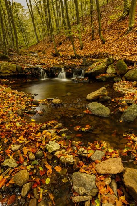 Clean Creek In The Autumn Forest Waterfall Stock Image Image Of Leaf