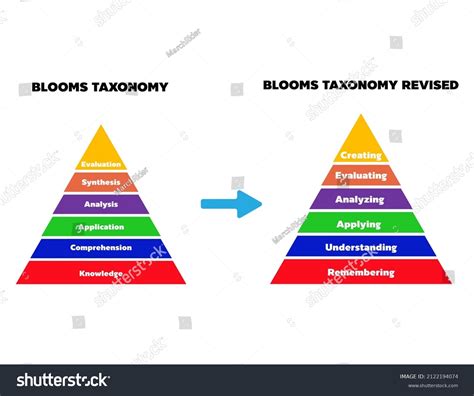 Blooms Taxonomy Model Developed Into Blooms Vetor Stock Livre De