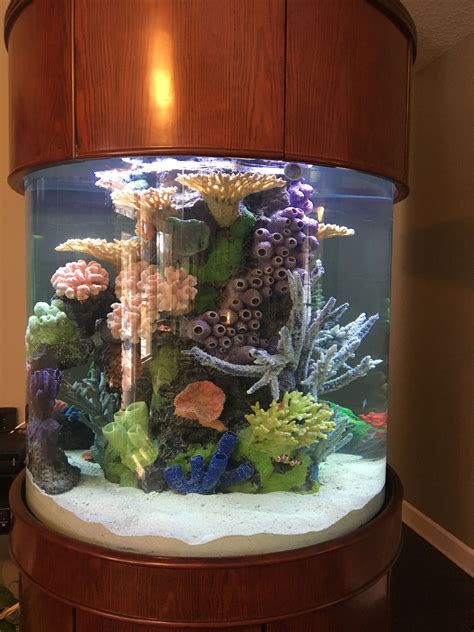List Of How To Decorate A Fish Tank With Household Items 2022