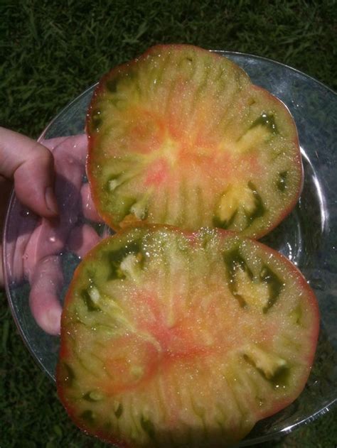 Red slicers & beefsteak tomato plants. Black Pineapple Tomato (aka Ananas Noire): Verdict
