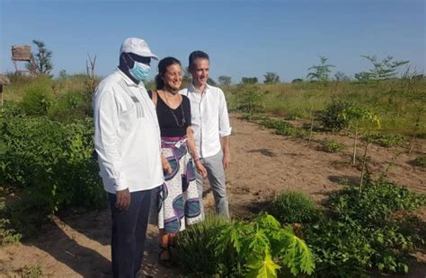 Télécharger des livres par thierry dulaurans date de sortie: Visite de Philippe Lalliot et de son épouse dans une forêt ...
