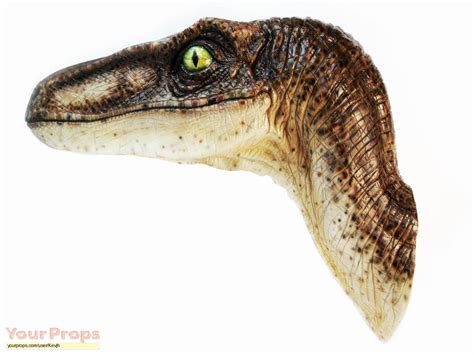 Jurassic Park Jp Raptor Head Replica Movie Prop