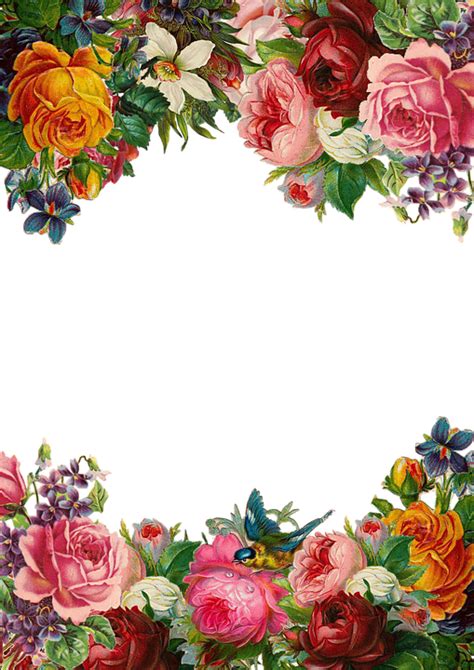 Flower Rose Frame · Free Image On Pixabay