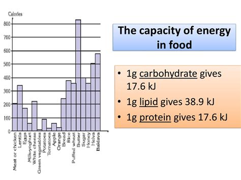 150 grams glycogen is stored in liver and 150 grams is stored in muscles. Metabolism of Carbohydrates-Lipids-Proteins - online ...