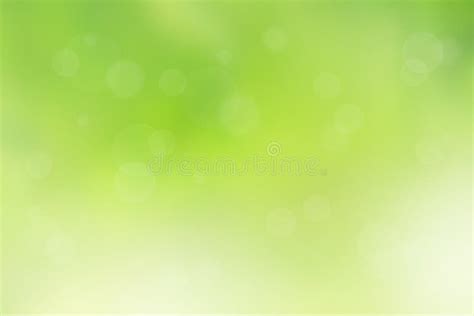 Beautiful Green Spring Background Stock Photo Image Of Floral Summer