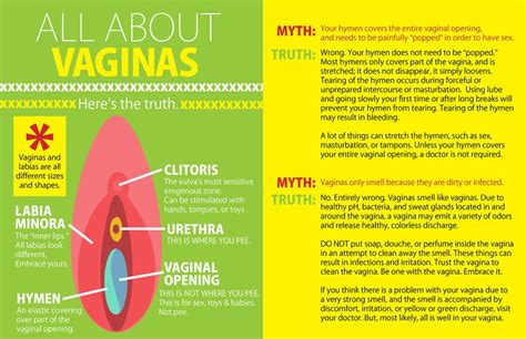 Vaginas Sex Ed Infographic Popsugar Love And Sex Photo 1