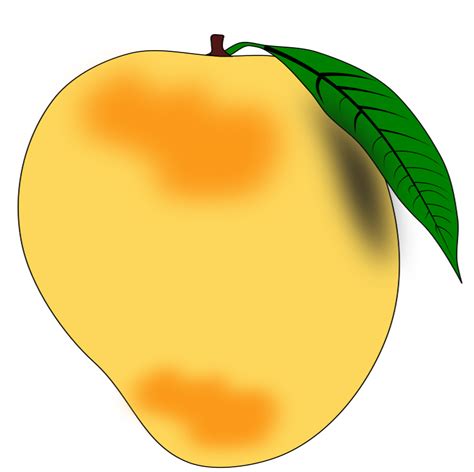 Mango money offers one of the lowest cost prepaid or debit card available. ESL Kids Fruit Vocabulary