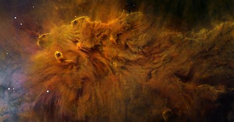 Fox Fur Nebula Telescope Live
