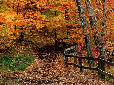 Autumn Scenes New England Beautiful Scenery Photography