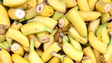 The Imminent Death Of The Cavendish Banana And Why It Affects Us All
