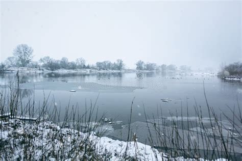 Cold Winter Morning At A Riverside Stock Photo Image Of Season