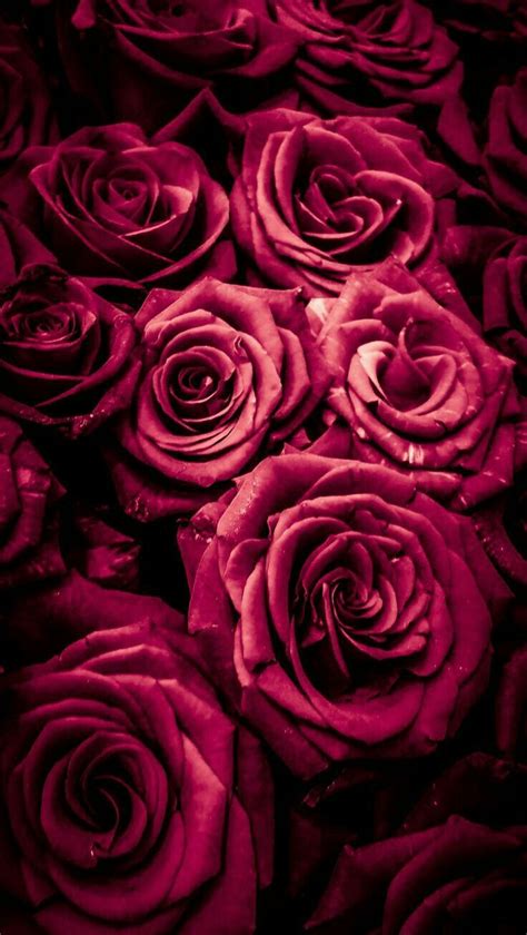 Schön - - #hintergrundbilder | Blumen hintergrund iphone ... Iphone 8 günstig kaufen günstiger als jeder preisvergleich finde täglich neue angebote und spare bei deinem einkauf mydealz.