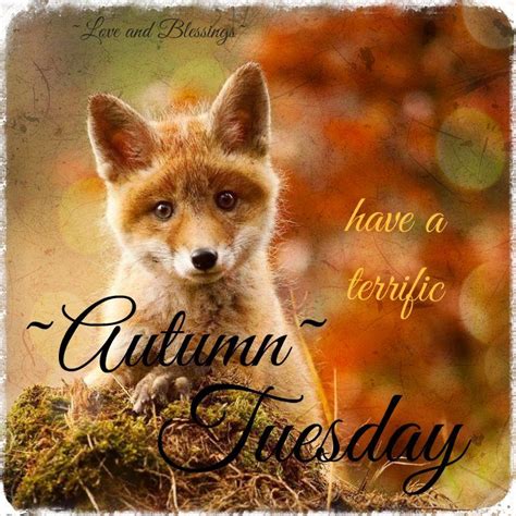 Happy Fall Tuesday Morning Images Wisdom Good Morning Quotes