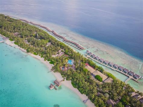 Kuramathi Maldives Review Enjoying One Of Best Dives Spots In The World