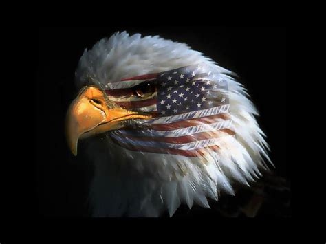 Free Download American Eagles Wallpaper 1024x768 American Eagles Flags