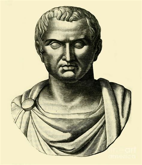 Marc Antony Drawing By Print Collector Fine Art America