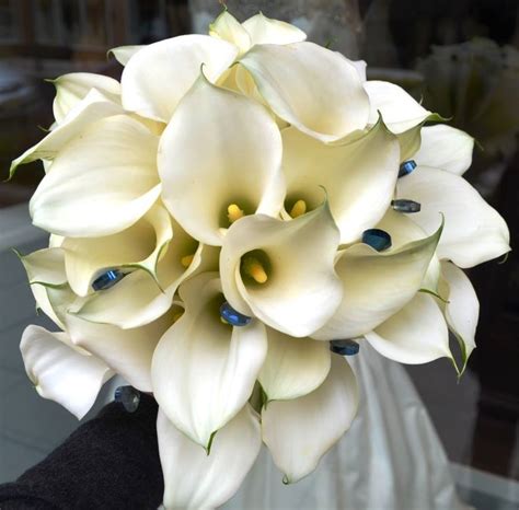 We did not find results for: Friday Florist Recap 11/9 - 11/15: A Splash of Color
